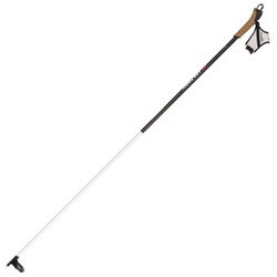 Rossignol FT600 Ski Pole in Black and White